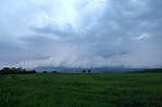 IMG_8513.jpg