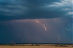 DSC_0419.jpg