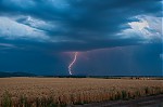 DSC_0446.jpg