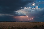 DSC_0557.jpg
