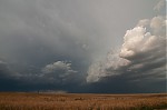 DSC_0974~0.jpg