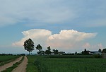 P1110598.JPG