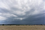 DSC03281.jpg