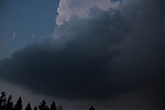 IMG_1304.JPG