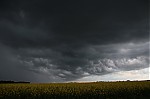 IMG_1920.JPG