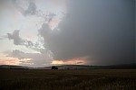 IMG_4014.jpg