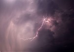IMG_5969.JPG