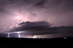 IMG_1319_2.jpg