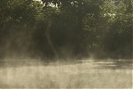 IMG_2187.jpg