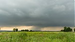 IMG_2836.jpg