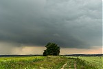 IMG_2841.jpg