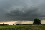 IMG_2864_28229.jpg