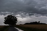 IMG_4463.jpg