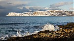 IMG_6685.jpg