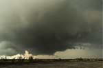 IMG_8940.jpg