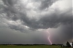 IMG_0478er.jpg