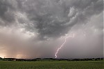 IMG_0521er.jpg