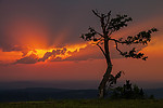 IMG_1799uzm.jpg