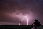 IMG_2354uzm.jpg