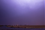 IMG_2461er.jpg