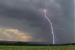 IMG_2881uzm.jpg
