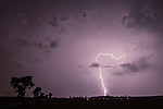 IMG_3990uzm.jpg