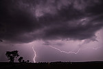 IMG_3999uzm.jpg