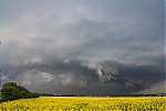 IMG_5734er.jpg