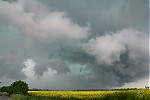 IMG_5784er.jpg
