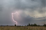 IMG_6061uzm.jpg