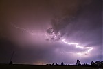 IMG_6233er.jpg
