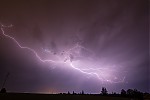 IMG_6241er.jpg