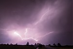 IMG_6253er.jpg