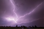 IMG_6260er.jpg