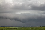 IMG_6736uzm.jpg