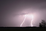 IMG_9189uzm.jpg