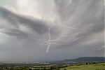 IMG_9667uzm.jpg
