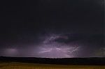 _MG_3893.JPG