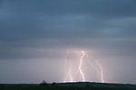 IMG_3721.JPG