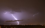 IMG_1255.jpg