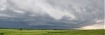 DSC_5589_JPG_pan.jpg