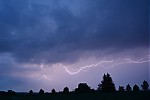 DSC_0244.JPG