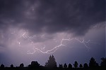 DSC_0319.JPG