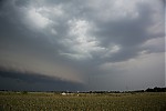 DSC_0406.jpg