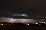 IMG_5294.jpg