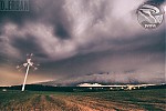 IMG_9513.jpg