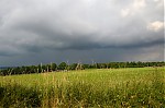 DSC_0483.jpg