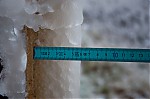DSC_04455B15D.jpg