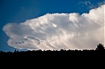 DSC_1153.jpg