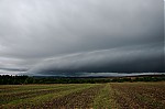 DSC_1311.jpg